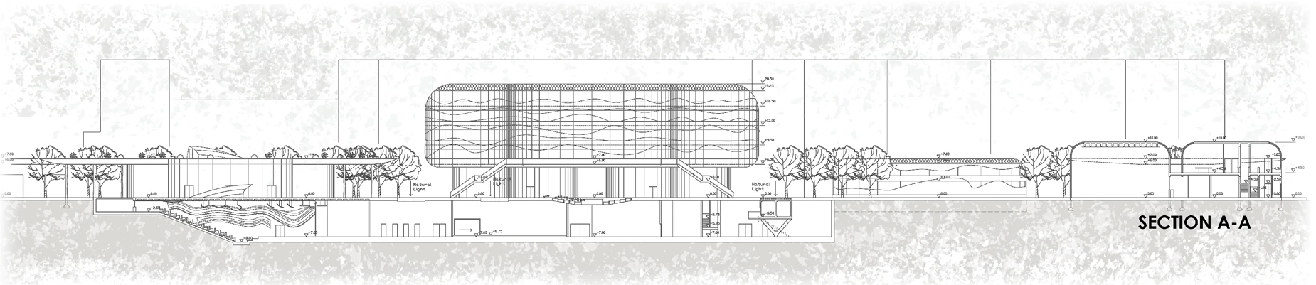Longitudinal section A–A